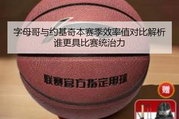 字母哥与约基奇本赛季效率值对比解析谁更具比赛统治力