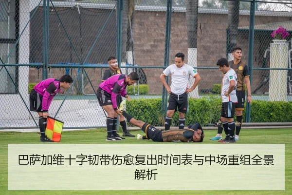 巴萨加维十字韧带伤愈复出时间表与中场重组全景解析
